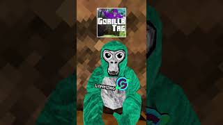 What would you choose? #gorillatag #gtag #vr