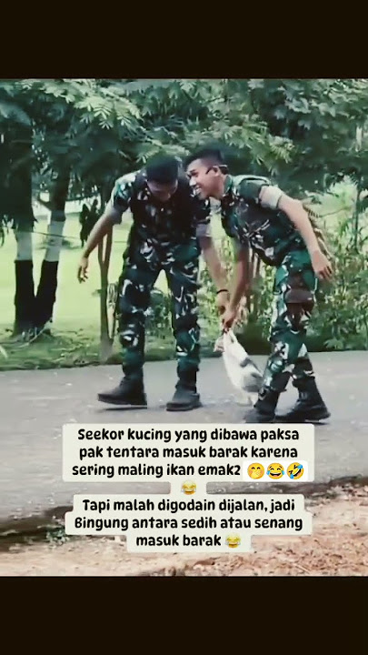 Seekor kucing di bawa pak tentara secara paksa kebarak #tni #viral #subscribe #shortvideo #shorts