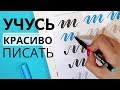 УЧУСЬ ПИСАТЬ КРАСИВО! ОСНОВЫ КАЛЛИГРАФИИ И ЛЕТТЕРИНГА Анна Рольская МИФ ! Ориона Арт