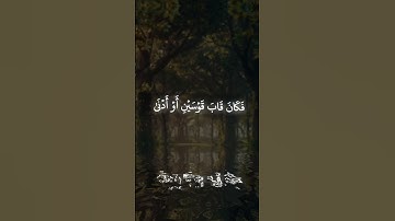 وهو بالأفق الأعلى ثم دنا فتدلى | تلاوة مؤثرة للشيخ محمد صديق المنشاوي #القرآن_الكريم