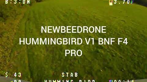 NEWBEEDRONE HUMMINGBIRD V1 F4 PRO FLIGHT FOOTAGE.