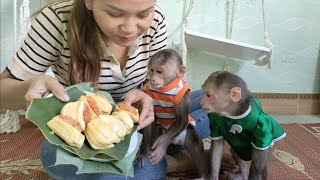 Mimi kuku ate delicious jackfruit sticky rice for the first time