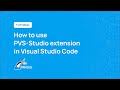How to use PVS-Studio extension in Visual Studio Code