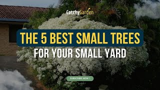 The 5 Best Small Trees for Your Small Yard 🌳🌷🌲 // Garden Answer