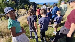 The Most Unique Alpaca Farm Tour Youve Never Seen in New Zealand - NZ Telugu Vlogs