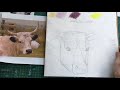 White Park Cattle in coloured pencil