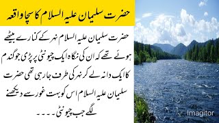 حضرت سلیمان علیہ السلام کا سچا واقعہ ll   ll moral stories in Urdu and Hindi Islamic sacche waqiat