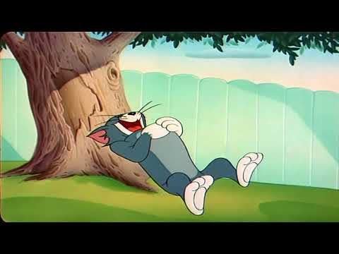 Tom And Jerry Episode 53 The Framed Cat Part 1 