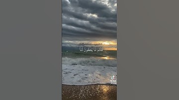 وتحسبونه هينا وهو عند الله عظيم ❤قناة نور على نور للقرآن الكريم ✅