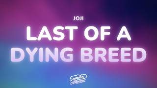 Joji - Last of a Dying Breed (Lyrics)