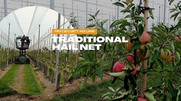 Hail Nets Installation of Traditional Hail Net System- FRUITSECURITY HOLLAND