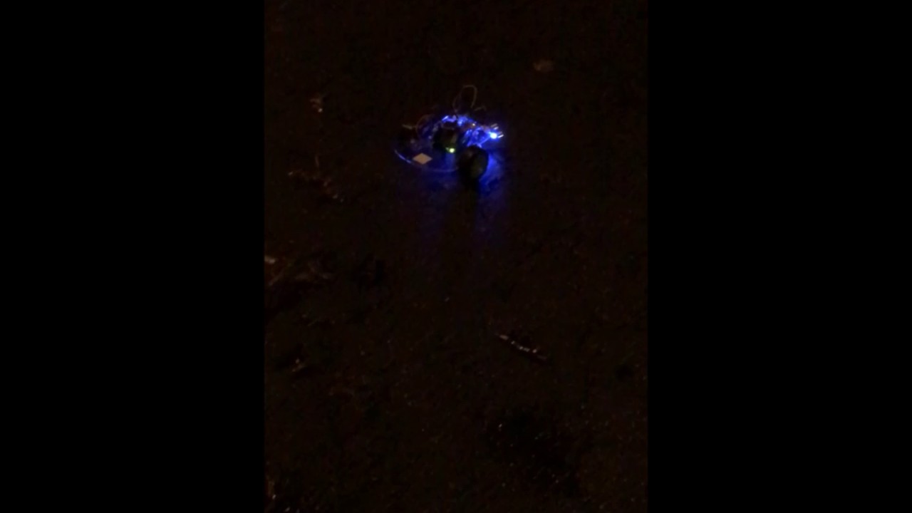 Team Graduating - DJ Robo (Following Bluetooth Speaker)