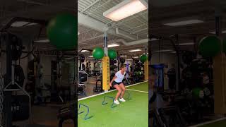 Lateral Hurdle Jump w/ Stick