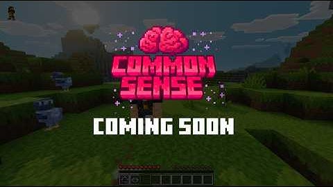 Common Sense 1.6 - Coming Soon ( New Third Person View )