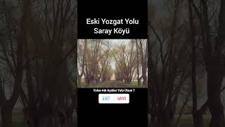 Eski Yozgat Yolu Saray Köyü