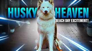 "Canine Bliss Unleashed: My Dog's Epic Beach Day Adventure!"