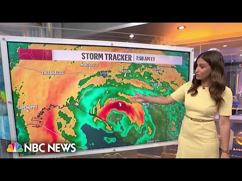 Hurricane Idalia makes landfall as Category 3 at Florida's Big Bend