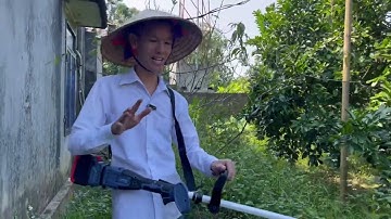 Thực tế sử dụng máy cắt cỏ dùng pin Yamasu MCC01| Khoan Pin Thế Anh