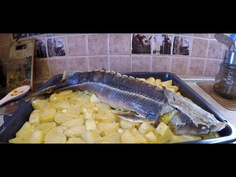 Простой, вкусный рецепт стерлядь в духовке