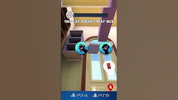 This Cat Breaks EVERYTHING in Seconds!