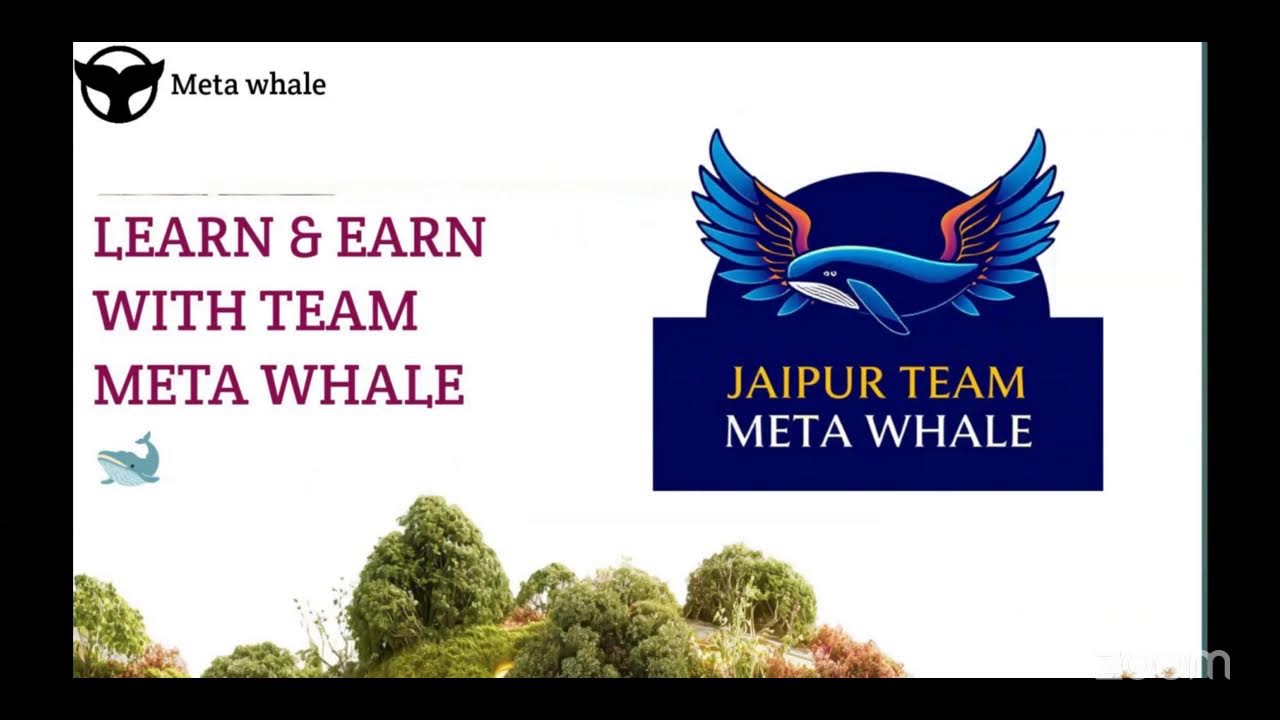 **10/03/2026 Meta Whale ecosystem plan presentation*