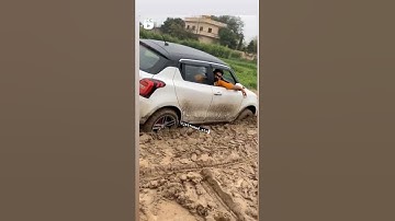 Swift in mud |||like # share#subscribe