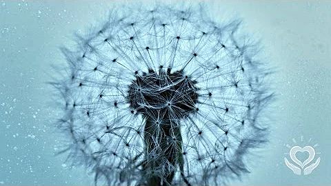 Reiki for Letting Go | Releasing | Release and Let Go | Energy Healing