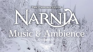Peaceful Narnia Music And Ambience | Relaxation And Meditation Narnia Soundtrack