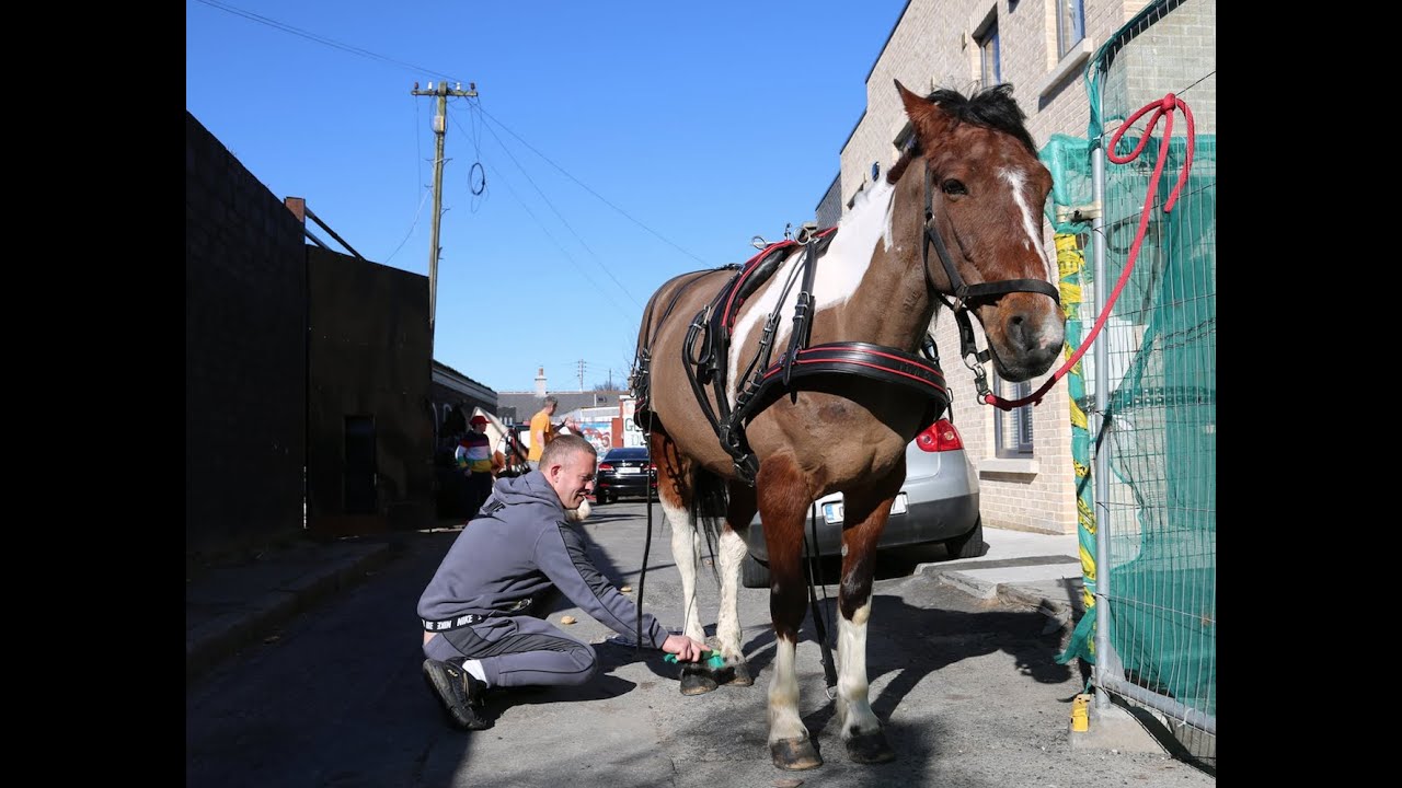 Дублинские всадники во время пандемии Covid-19.