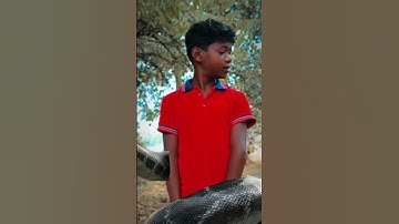 Anaconda snake  in real life#shorts #short #snake #nagin #python #anaconda #viralvideo  #bigsnake