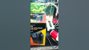 Lọc treo Sunsun HBL cho bể cá #loctreohbl