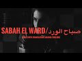 SAINT LEVANT SABAH EL WARD LYRICS WITH TRANSLATION كلمات صباح الورد 