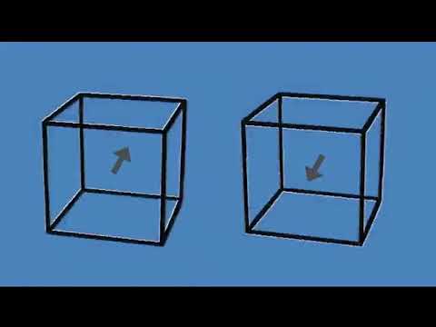 These cubes are not moving