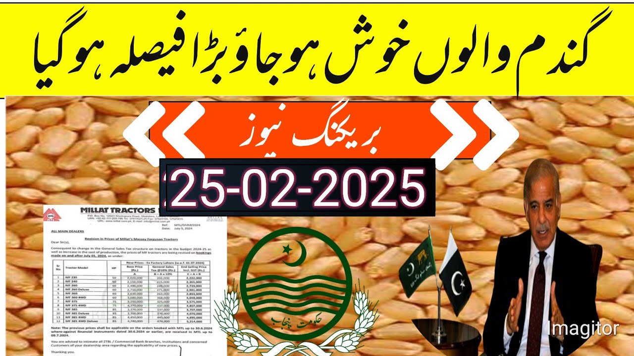 wheat support price in Punjab pakistan/new wheat support price 2025 ...