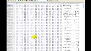 Reverse Engineering 101 ( Using A Hex Editor To Find Passwords )