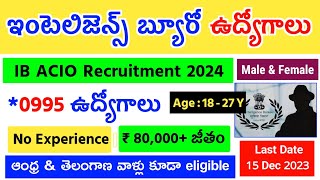 ఇంటెలిజెన్స్ బ్యూరో లో ఆఫీసర్ ఉద్యోగాలు | IB ACIO Recruitment 2024 Telugu | 995 Post's | 80వేలు జీతం