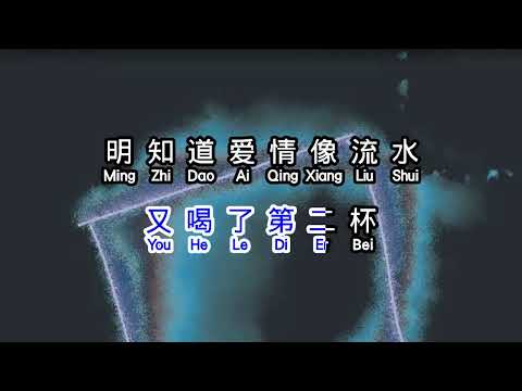 靳东   《 美酒加咖啡 Dj 》  mei jiu jia ka fei