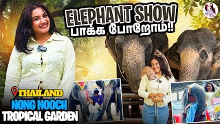 Elephant Show Experience in Thailand! 🐘 | Nong Nooch Tropical Garden | Raveena Daha