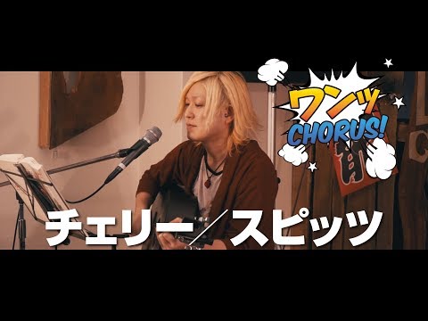 【カバー】チェリー/スピッツ【SHUNワンコーラス】
