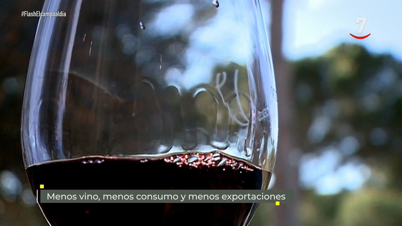 Flash El campo al día (22/09/2026): Menos vino, menos consumo y menos exportaciones