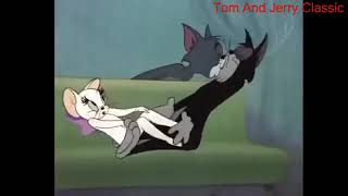 Tom And Jerry Clic Cartoons - Casanova Cat