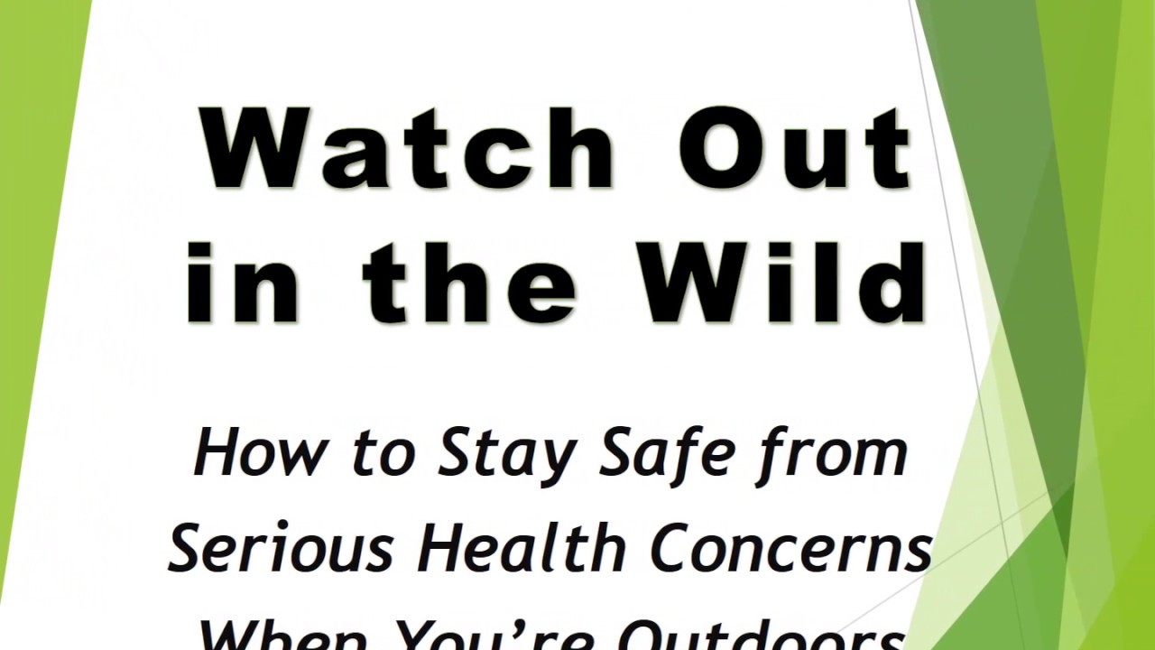 online marketing app Watch Out in the Wild