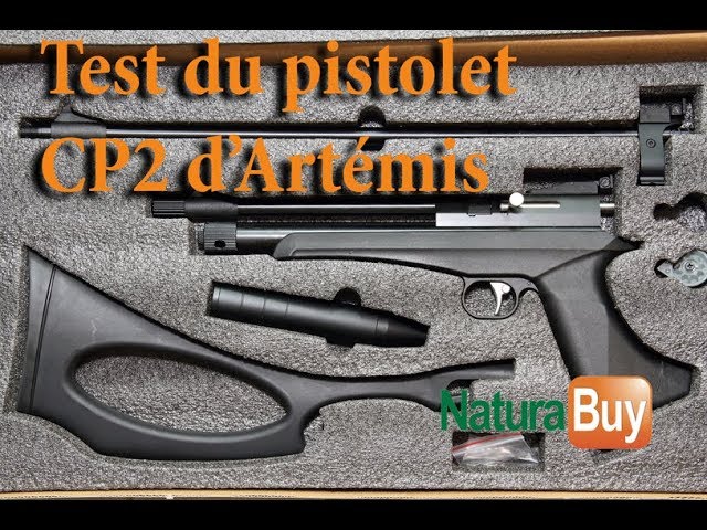 PISTOLET ARTEMIS AIR COMPRIME PCP PP750 - PISTOLET TIR LOISIRS