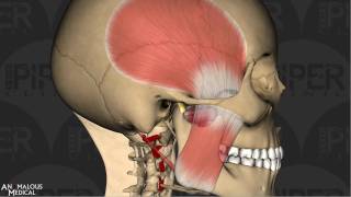 Anomalous Medical Demonstration Video screenshot 4