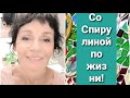 Со спирулиной - по жизни! Часть 3. Волшебная маска Маргариты.