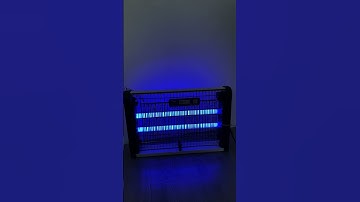 ĐÈN BẮT MUỖI TULI - GIẢI PHÁP DIỆT MUỖI AN TOÀN, HIỆU QUẢ, BẢO VỆ BẢN THÂN VÀ GIA ĐÌNH THẬT TỐT!