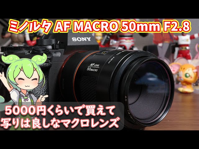 MINOLTA AF MACRO 50mm F2.8でお安く接写しよう【カメラ機材