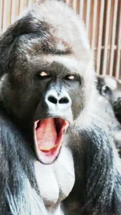 melupakan orang tua itu durhaka #story #trend #viraltiktok #tiktok