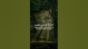 إن الذين كفروا بآيات الله لهم عذاب شديد والله عزيز ذو انتقام | من سورة آل عمران القارئ شريف مصطفى