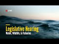 Water, Wildlife, & Fisheries Legislative Hearing | July 22, 2025